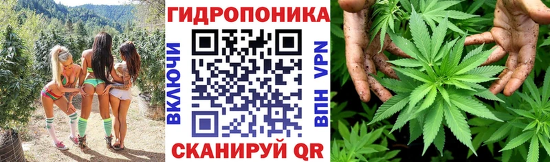 хочу наркоту  Красновишерск  Марихуана OG Kush 